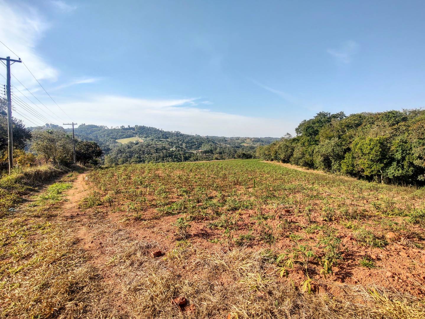 #1212 - Área para Venda em Atibaia - SP