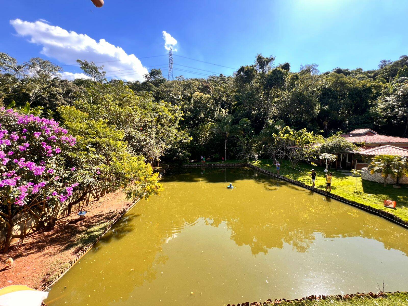 #1266 - Chácara para Venda em Jarinu - SP