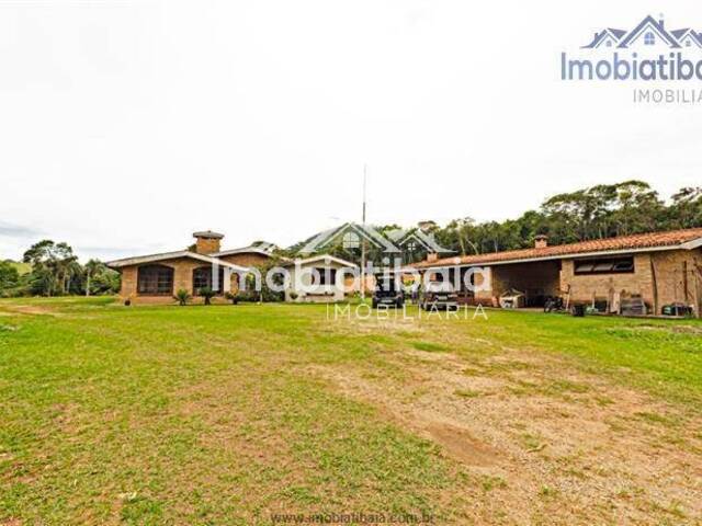 #295 - Sítio para Venda em Atibaia - SP - 1