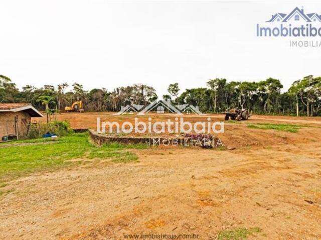 #295 - Sítio para Venda em Atibaia - SP - 3