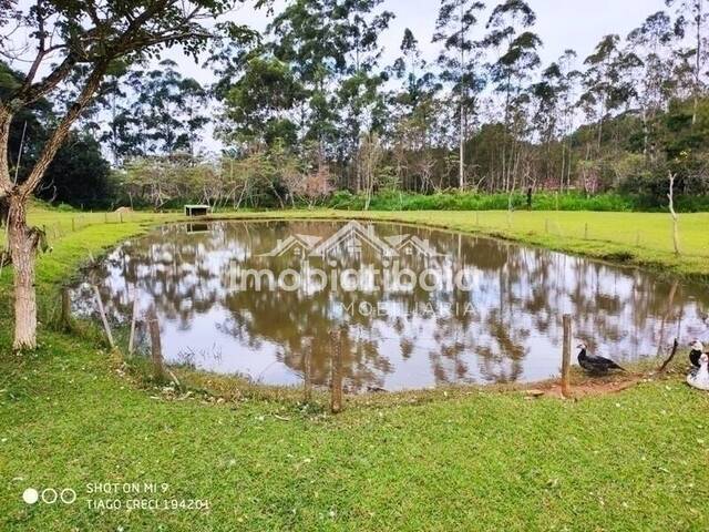 Sítio para Venda em Bom Jesus dos Perdões - 5