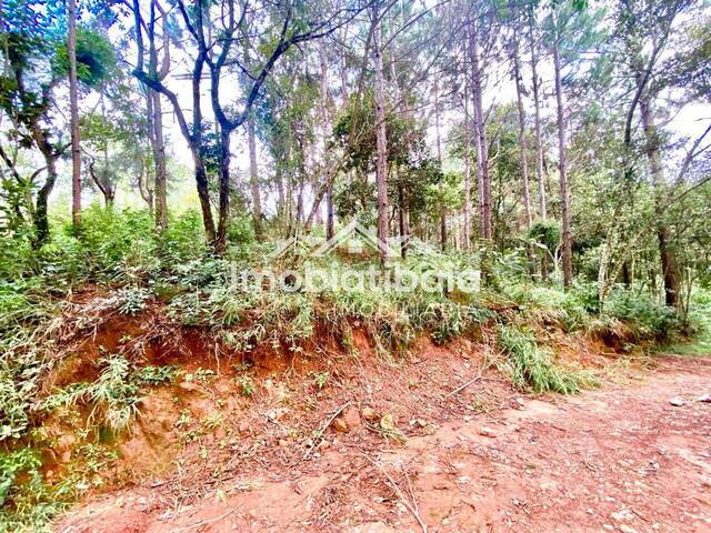#314 - Terreno para Venda em Atibaia - SP - 1