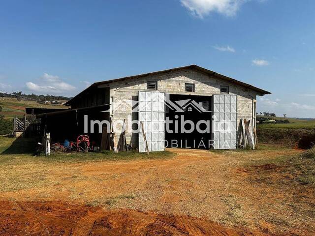 Fazenda para Venda em Bragança Paulista - 5