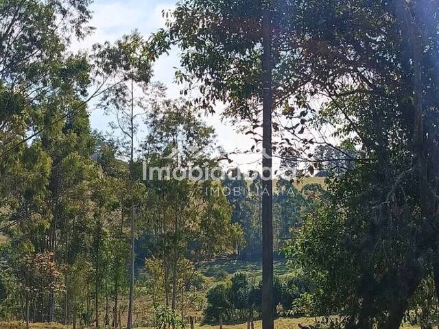#738 - Terreno para Venda em Atibaia - SP - 3