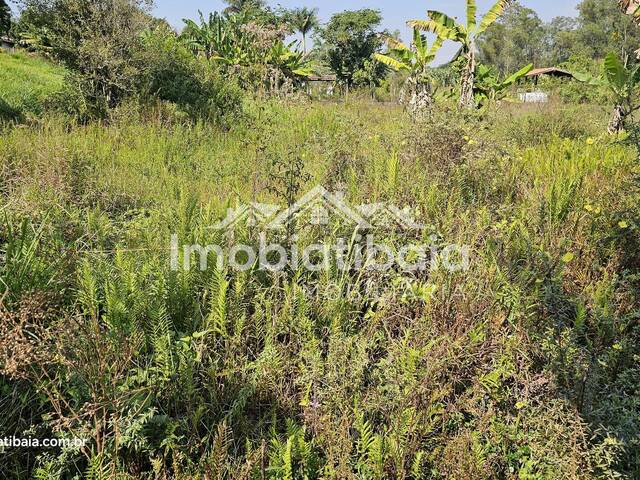 #858 - Sítio para Venda em Atibaia - SP - 3