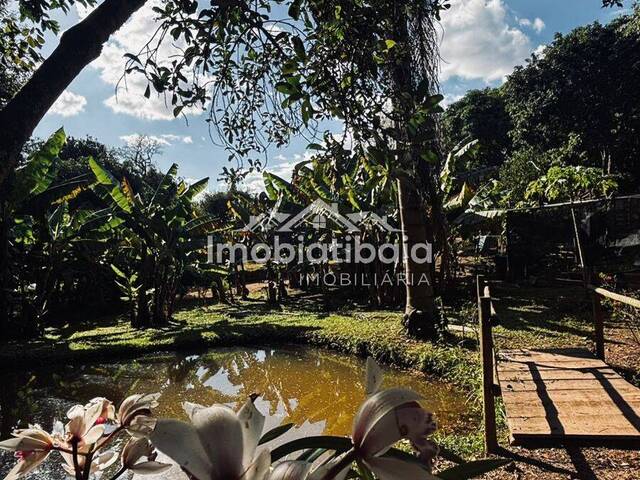 #977 - Chácara para Venda em Jarinu - SP - 1