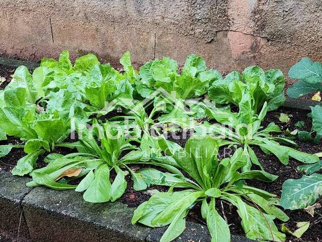 Chácara para Venda em Jarinu - 5