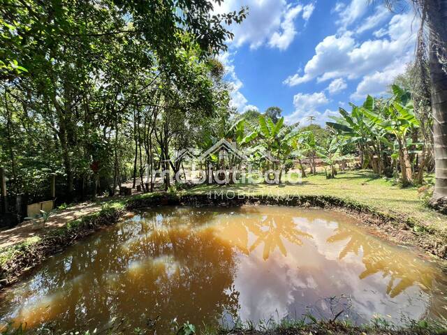 #977 - Chácara para Venda em Jarinu - SP - 1