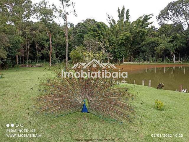 Chácara para Venda em Bragança Paulista - 5
