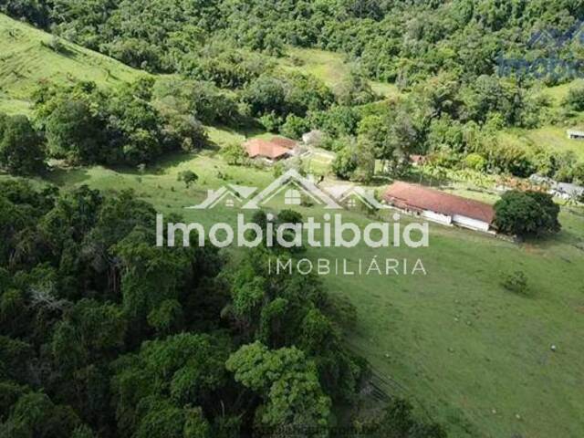 #322 - Sítio para Venda em Piracaia - SP - 3